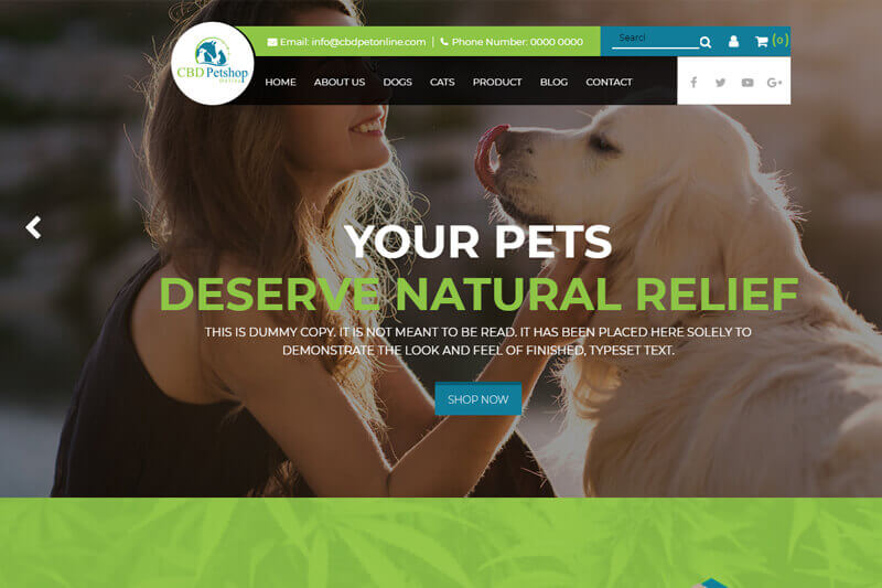 Web Development project by IO Technologies