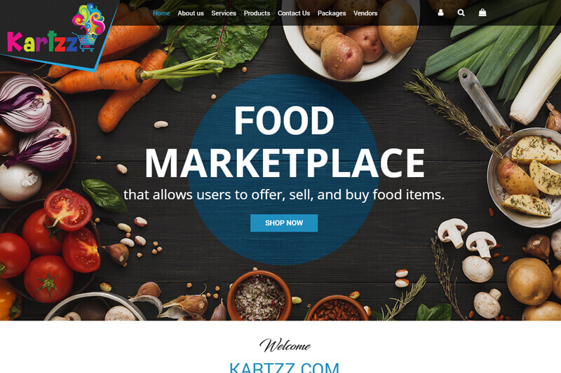 Web Development project by IO Technologies